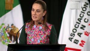 Relacionada screenshot-2026-03-19-191118-1.jpg