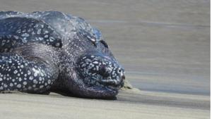 Relacionada screenshot-2026-03-19-205251-1.jpg