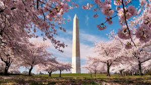 Relacionada image-1.jpg