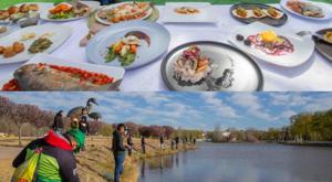 Relacionada guachochi.jpg