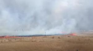 Relacionada incendio-pastizal-cuauhtemoc.jpg