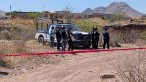 Relacionada inshot_20260320_132624058.jpg