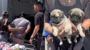 Relacionada inshot_20260320_133442090.jpg