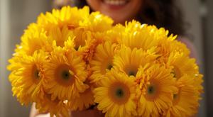 Thumb dcji4hsvmaao5cv