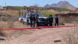 Relacionada principal_inshot_20260320_132624058-1.jpg