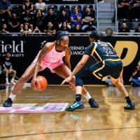 Relacionada zaay-green.jpg