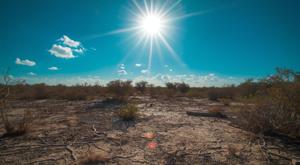 Relacionada canicula.jpg