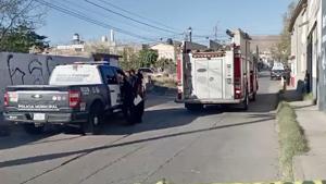 Relacionada img_2563.jpg