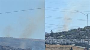 Relacionada pixlr_20260322162702168.jpg