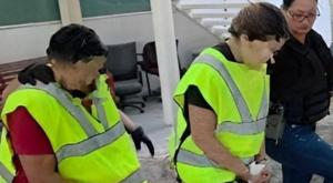 Relacionada descarga-2026-03-22t191423107.jpg