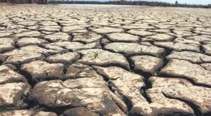Relacionada sequia-chihuahua.jpg