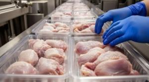 Relacionada pollo.jpg