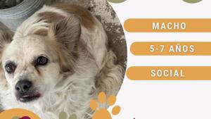 Relacionada 69c190dc0bd9f__69c190dc0bda0.jpg