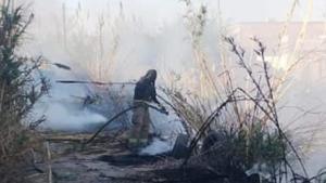 Relacionada whatsapp-image-2026-03-23-at-63055-pm.jpg