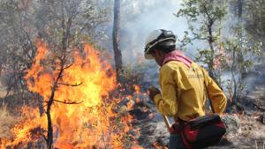 Relacionada incendios.jpg
