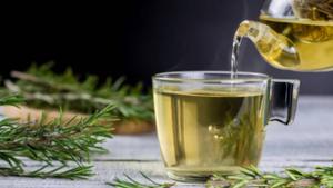 Relacionada screenshot-2026-03-23-205139-1.jpg