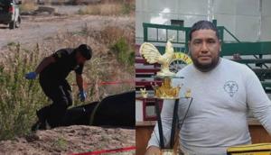 Relacionada mulato.jpg