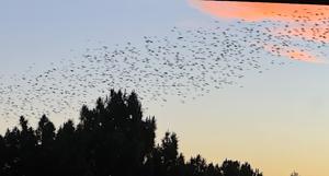 Relacionada clima24marzo2026.jpg