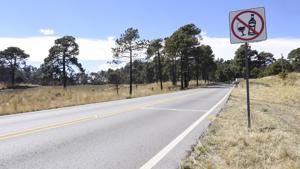 Relacionada whatsapp-image-2026-03-24-at-105432.jpg