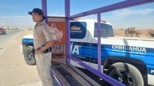 Relacionada inshot_20260324_145911027.jpg