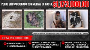 Relacionada multa-maltrato-animal-chihuahua-2026.jpg