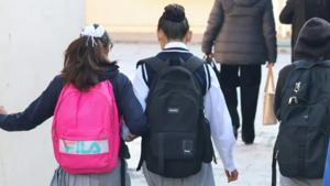 Relacionada screenshot-2026-03-24-202601-1.jpg