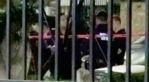 Relacionada download-2026-03-25t081615891.jpg