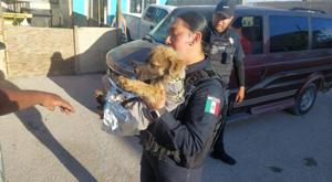 Relacionada descarga-39.jpg