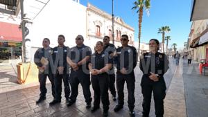 Relacionada inshot_20260325_110941079.jpg