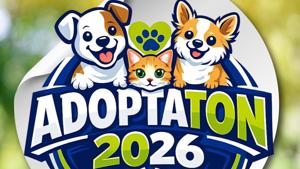 Relacionada adoptaton.jpg