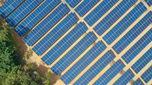 Relacionada parque.jpg