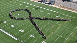 Relacionada campo.jpg