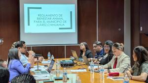 Relacionada pxl_20260326_164015750.jpg