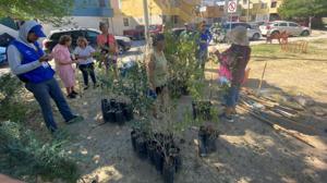 Relacionada whatsapp-image-2026-03-26-at-12507-pm.jpg