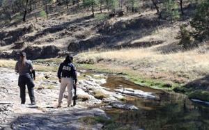 Relacionada img-20260326-wa0001.jpg