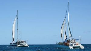 Relacionada screenshot-2026-03-26-204955-1.jpg