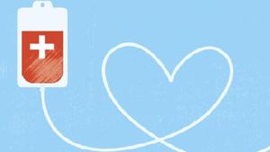 Relacionada principal_principal_donante-banner-1.jpg