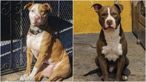 Relacionada fotojet-1.jpg