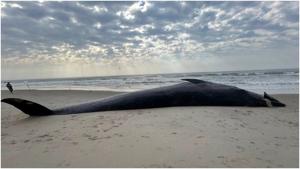 Relacionada fotojet-3.jpg