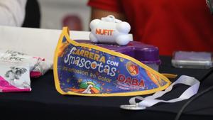 Relacionada 69c6d285a6706__69c6d285a6707.jpg