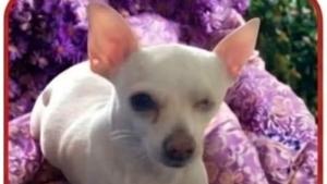 Relacionada fotojet-6.jpg