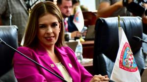 Relacionada xochitl-contreras-dip-local-pan-juarez-1.jpg