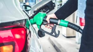 Relacionada ieps.jpg