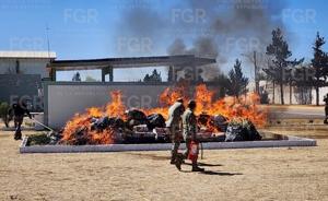 Relacionada whatsapp-image-2026-03-27-at-184214.jpg