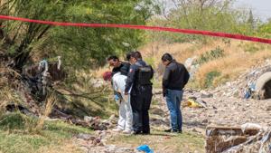 Relacionada inshot_20260328_120953634.jpg