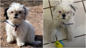 Relacionada fotojet-5.jpg