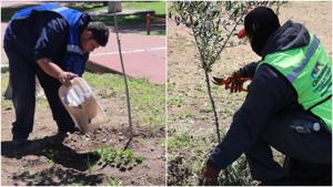 Relacionada fotojet-7.jpg