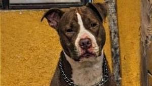 Relacionada 657655908_122275150112064490_700394714906019280_n.jpg