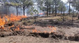 Relacionada incendio.jpg