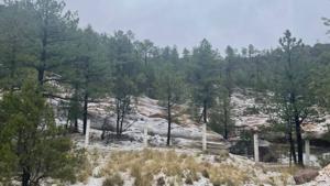 Relacionada 3779ec2c-8b0f-4782-a9b6-5d23ad7aef5b.jpg